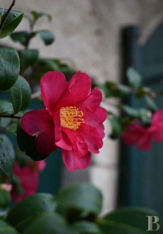 Dans l’Ain, à proximité de Genève, une maison du 17e siècle traversée par un souffle contemporain - photo  n°31